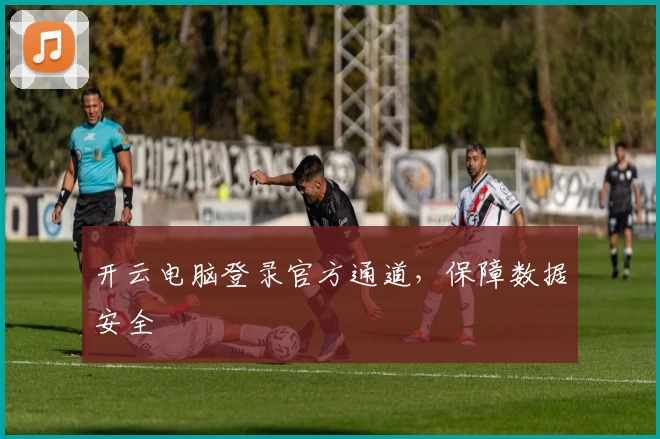 开云电脑登录官方通道，保障数据安全